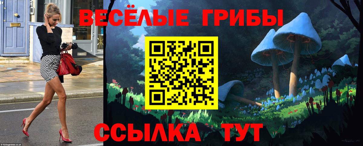 Псилоцибиновые грибы Psilocybe  Вход с VPN  Карталы 