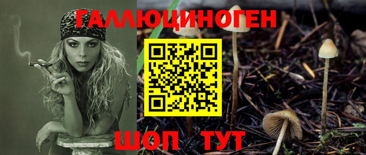 А ПВП СОЛЬ   Вход с VPN  Мефедрон   Марихуана  ГАШИШ  Бошки Шишки  Карталы  Кокаин 